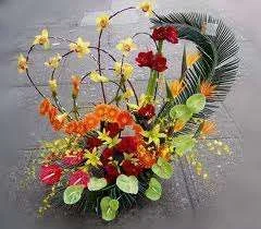 images-28.webp