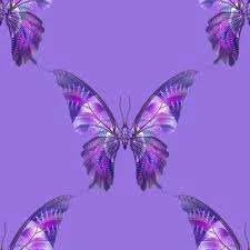 images-29.webp