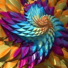 images-29.webp
