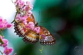images-3.webp