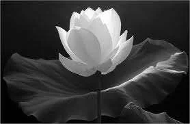 images-3.webp