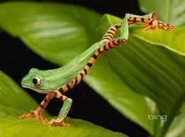 images-3.webp