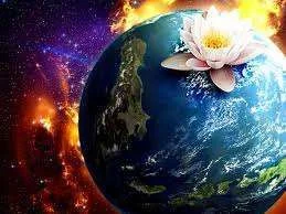 images-3.webp