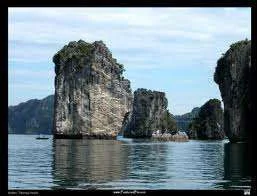 images-3.webp