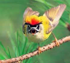 images-30.webp