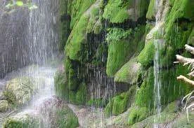 images-30.webp
