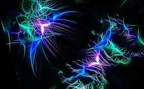 images-31.webp
