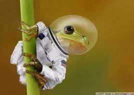 images-31.webp