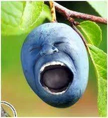 images-32.webp