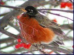 images-32.webp