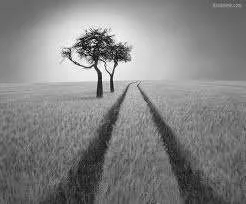 images-32.webp