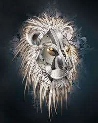 images-33.webp