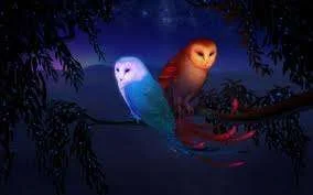 images-35.webp