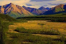 images-36.webp