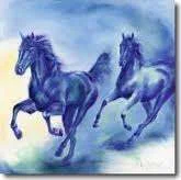 images-36.webp
