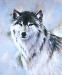 images-4.webp
