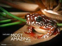 images-4.webp