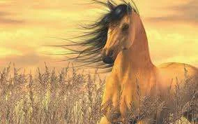 images-4.webp