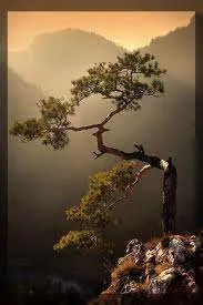 images-4.webp