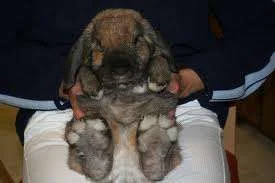 images-4.webp