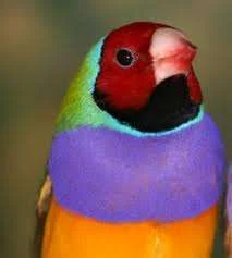 images-4.webp