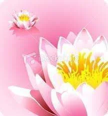 images-4.webp