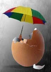 images-4.webp