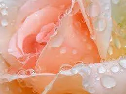 images-41.webp