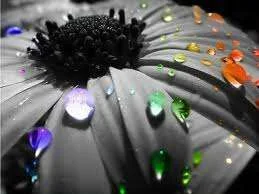 images-42.webp