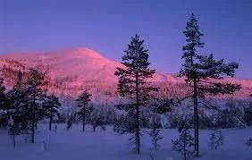 images-42.webp