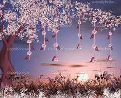 images-43.webp