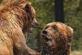 images-44.webp