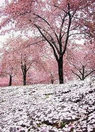 images-44.webp
