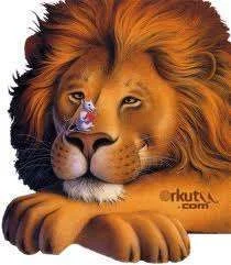 images-48.webp