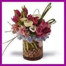 images-49.webp