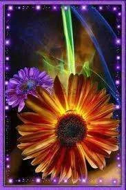 images-49.webp
