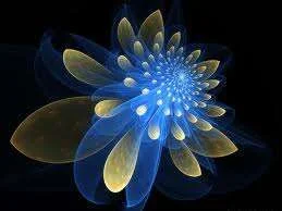 images-5.webp