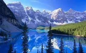 images-5.webp