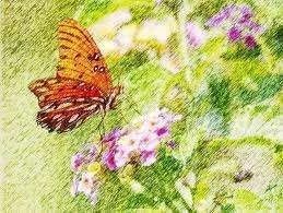 images-5.webp