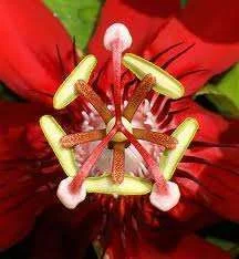 images-5.webp