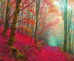 images-5.webp