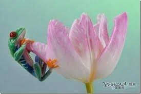 images-5.webp
