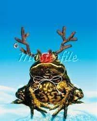 images-5.webp