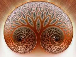 images-5.webp