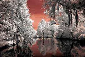 images-5.webp