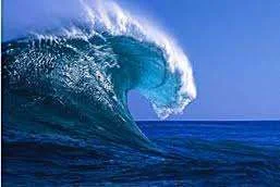 images-5.webp