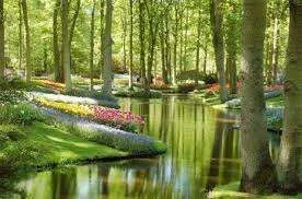 images-6.webp