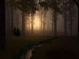 images-6.webp