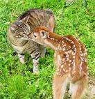 images-6.webp