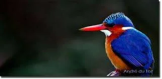 images-6.webp